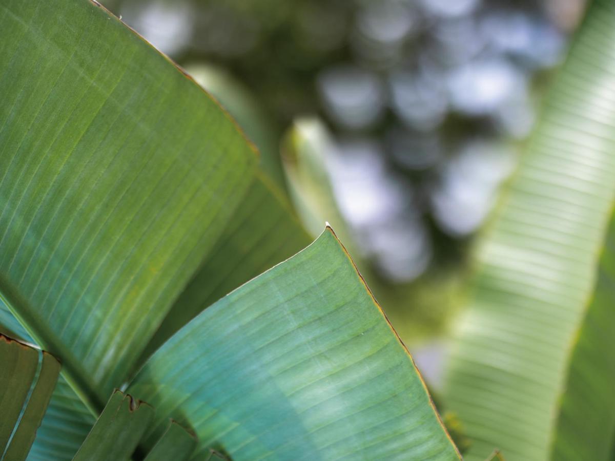 Homm Stay Yumiha Okinawa By Banyan Tree Group Onna Exteriör bild