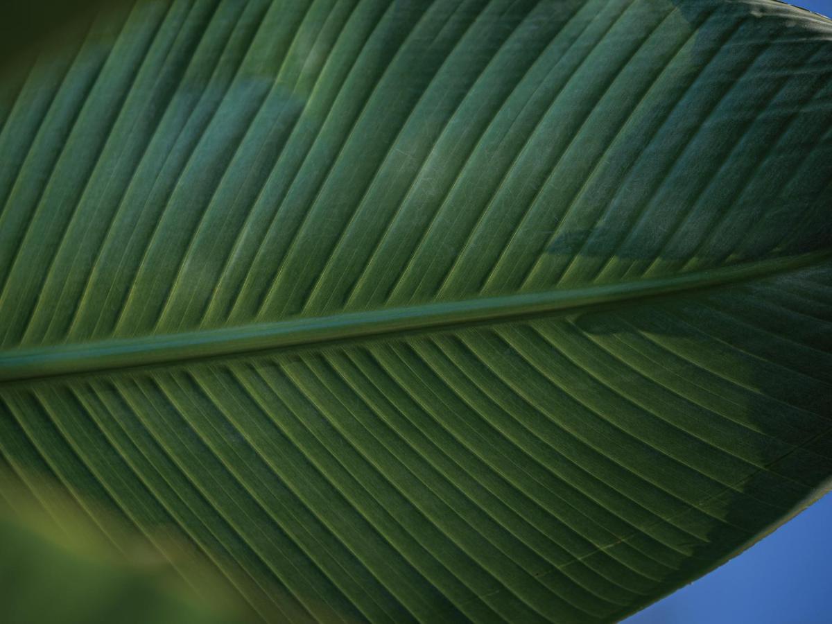 Homm Stay Yumiha Okinawa By Banyan Tree Group Onna Exteriör bild