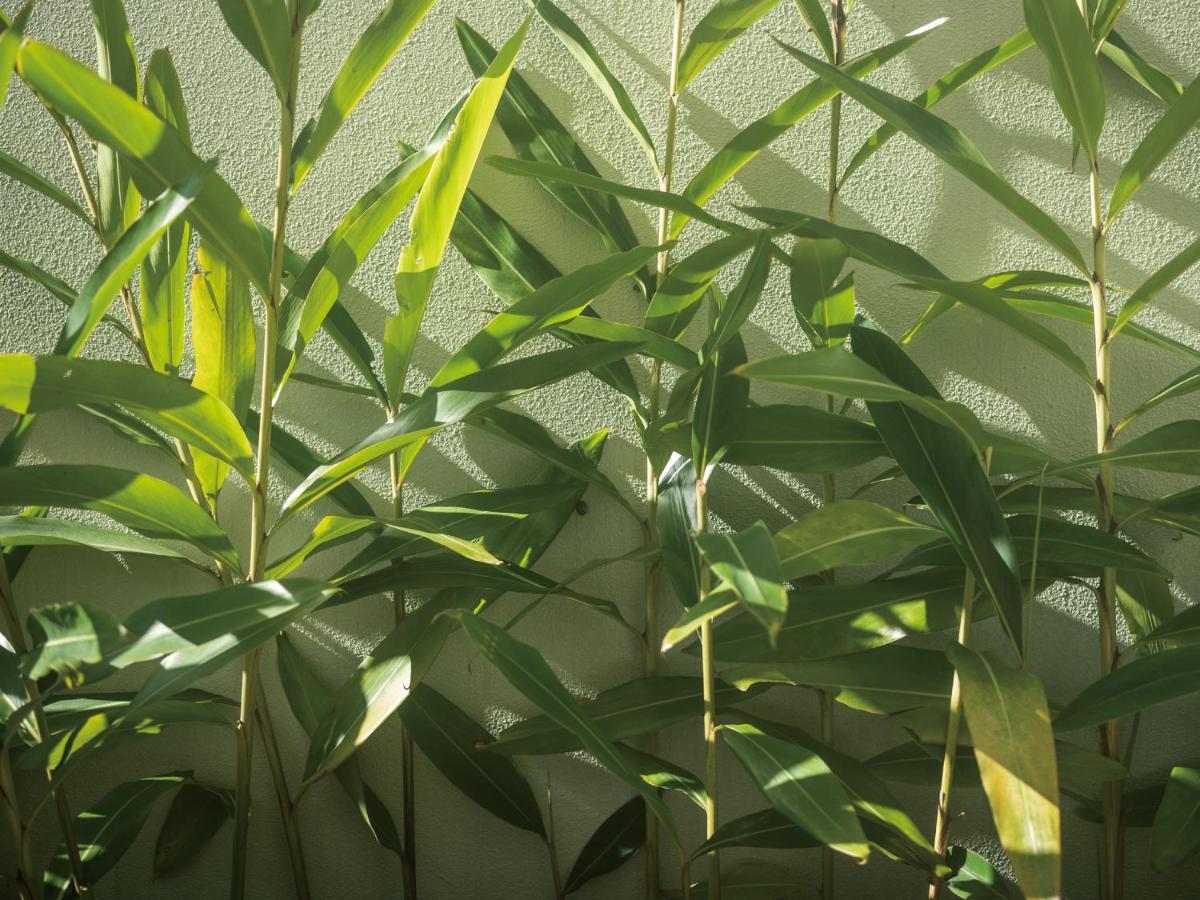 Homm Stay Yumiha Okinawa By Banyan Tree Group Onna Exteriör bild